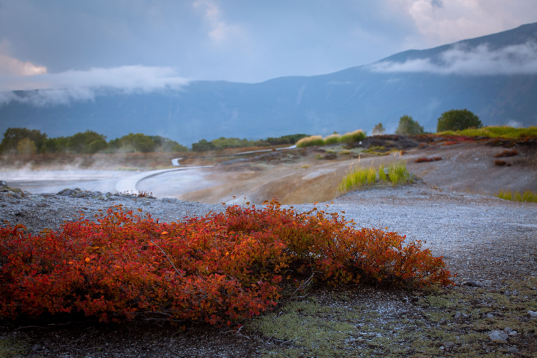 MDV Elite Camp. Фото 13