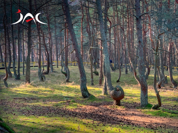 Осенний бизнес-форум АЯК состоялся в Калининграде. Фото 8